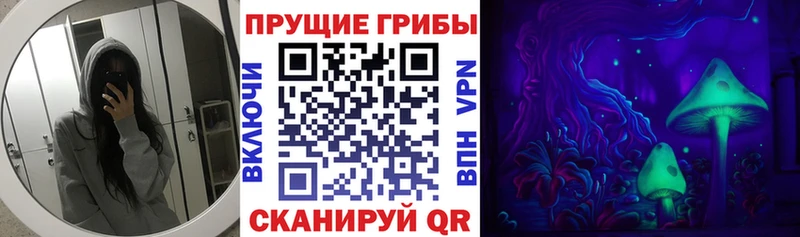 OMG вход  Новороссийск  Псилоцибиновые грибы Magic Shrooms  купить наркотик 